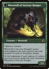 Sage of Ancient Lore // Werewolf of Ancient Hunger [Shadows over Innistrad] | Deep Dive Games St. Marys