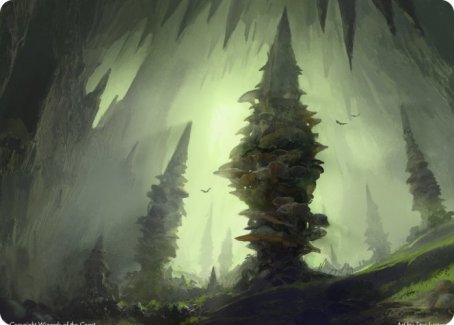 Forest (280) Art Card [Dungeons & Dragons: Adventures in the Forgotten Realms Art Series] | Deep Dive Games St. Marys