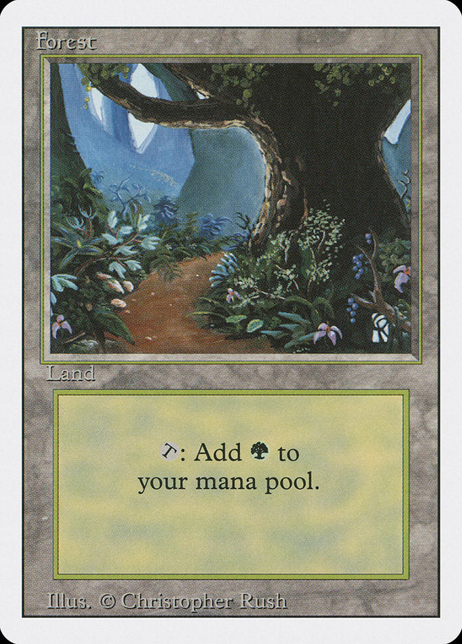 Forest (305) [Revised Edition] | Deep Dive Games St. Marys